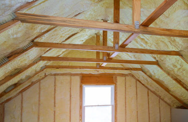 Best Residential Insulation Services  in Riverview, SC