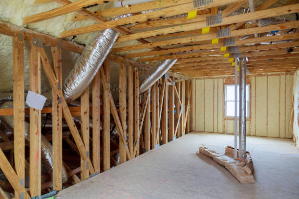 Best Wall Insulation Contractor  in Riverview, SC