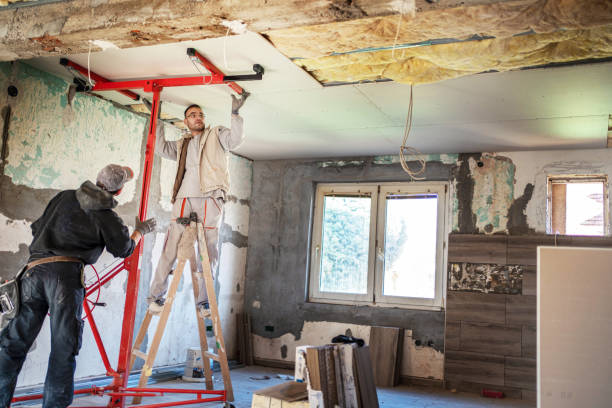 Best Insulation for New Construction  in Riverview, SC