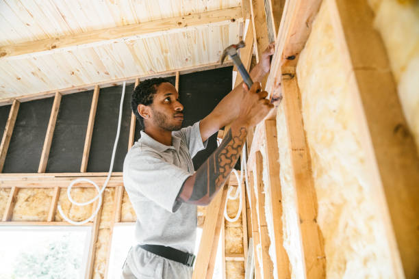 Best Home Insulation Services  in Riverview, SC