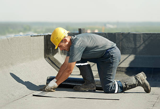 Best Local Insulation Services  in Riverview, SC
