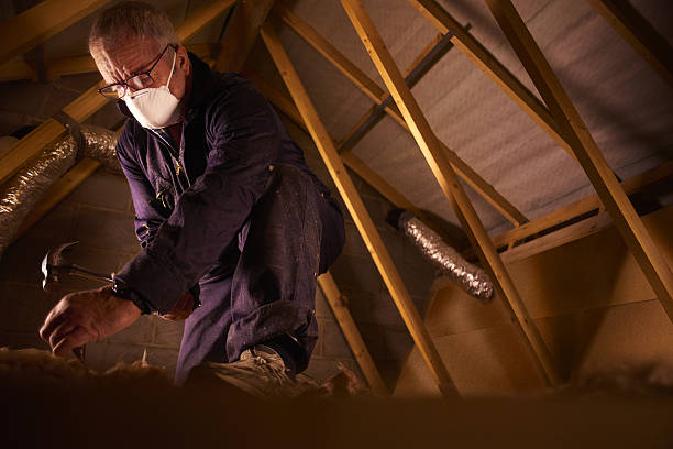 Best Insulation Inspection Services  in Riverview, SC
